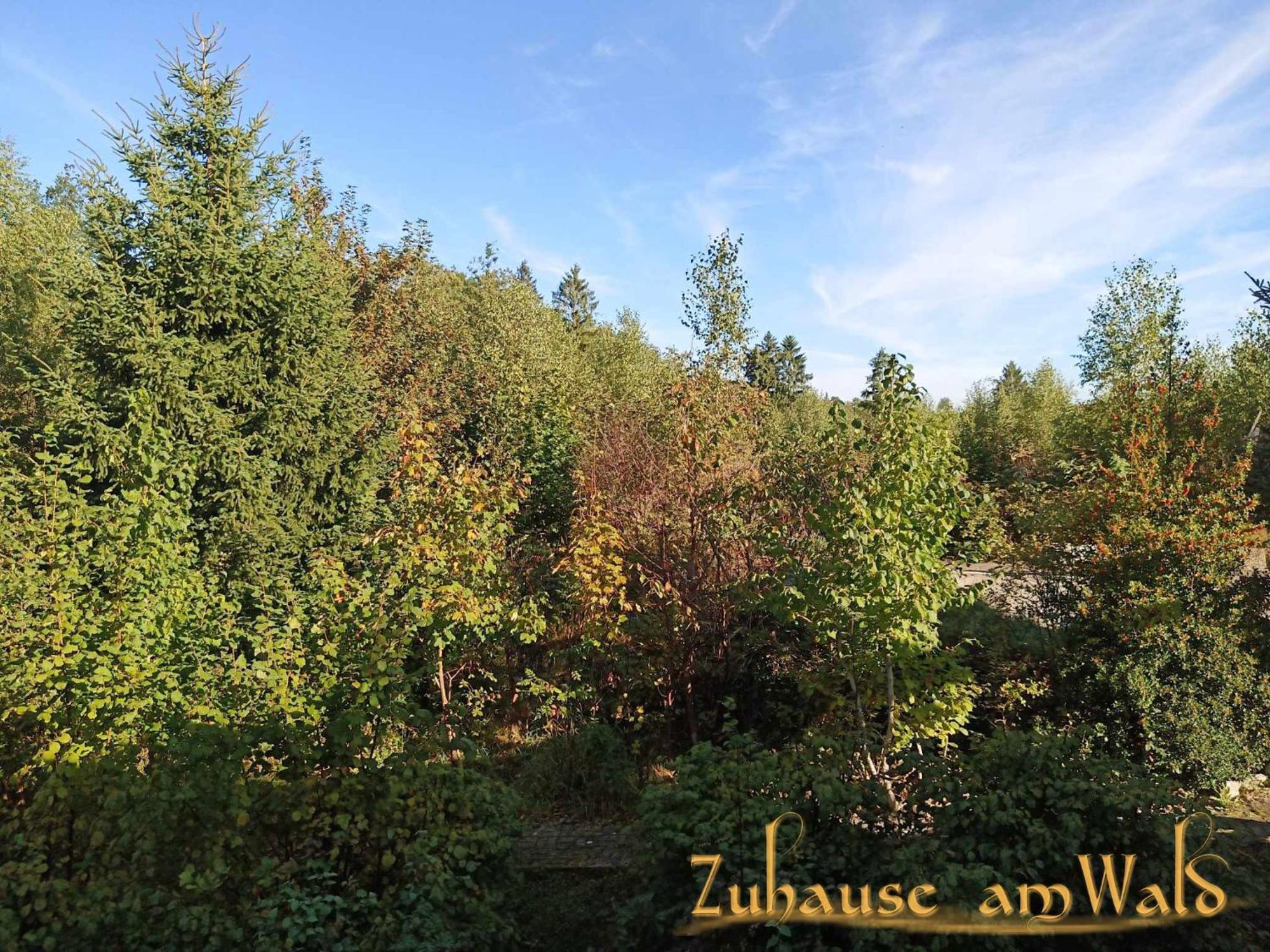 Apartment Zuhause Am Wald