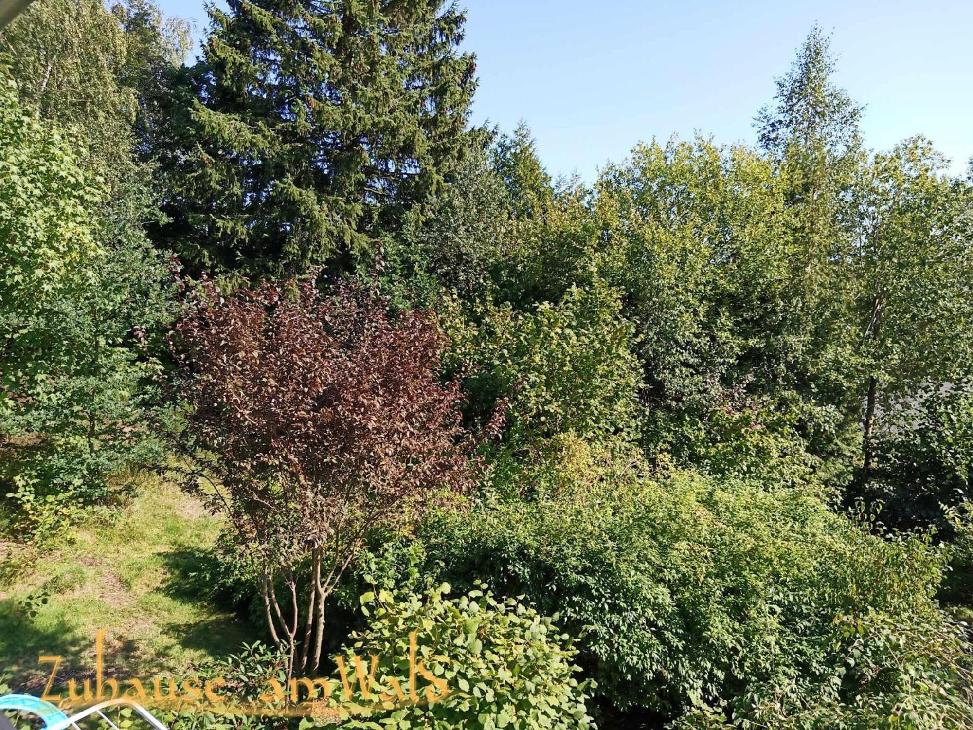 Zuhause Am Wald Apartment *